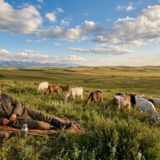 ブログで月10万円稼ぐ凄さをもっと分かりにくい例えで表現してみた