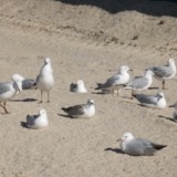 【努力不要論④】努力は不要だったのか